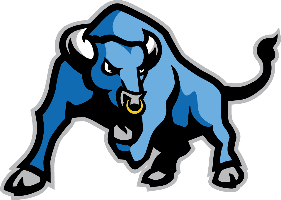 Buffalo Bulls 2007-2015 Secondary Logo 02 iron on paper